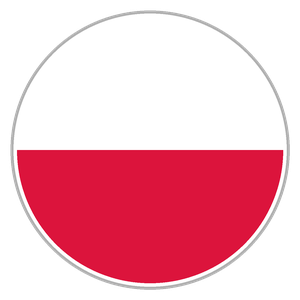 Polish for Missionaries - thumbnail